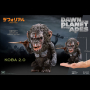 DF KOBA